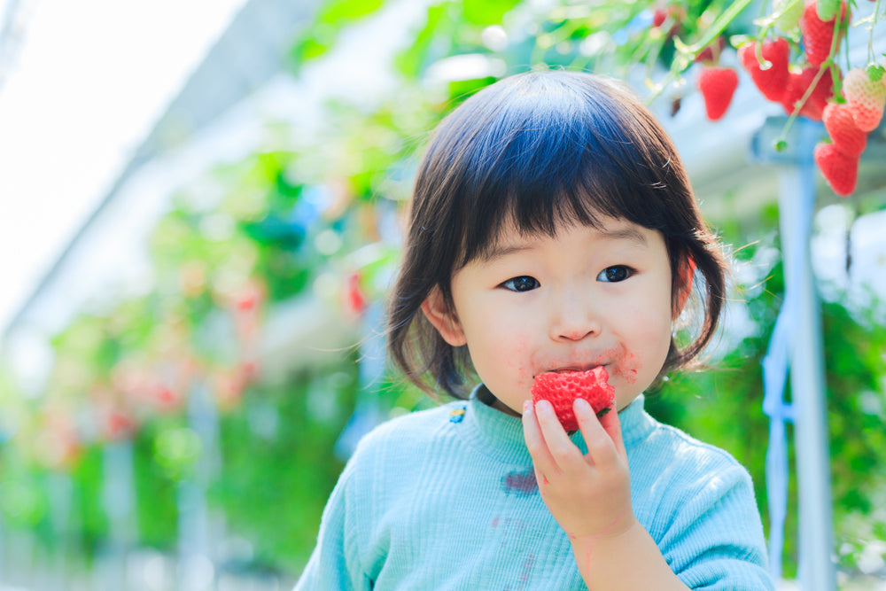 Strawberry Wonders: Savoring Asia's Berry Best Snacks