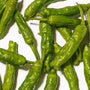 A top-down image of  peppers scattered on a white background, emphasizing their fresh texture, curved shapes, and vibrant green color, just like the ones used in Bokksu Japanese Yuzu Hot Sauce thumbnail 4