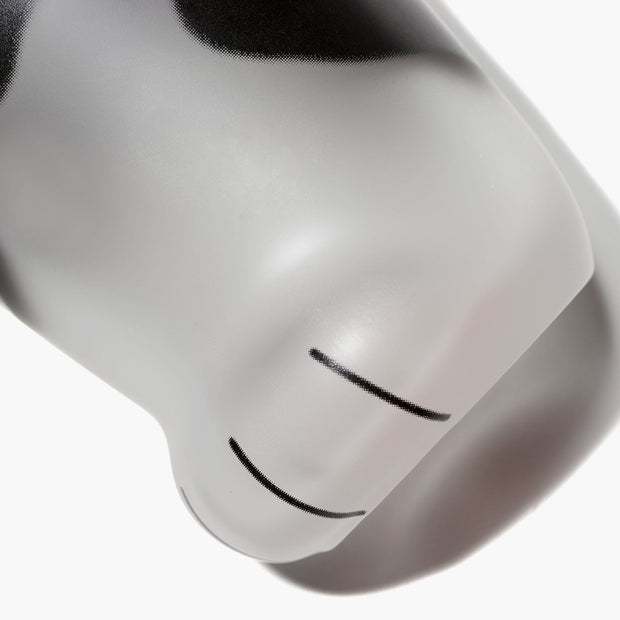 Close-up of The Cat Lover's Box by Bokksu, showing its frosted glass surface with two simple black lines and abstract black and white shapes.